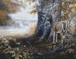 (image for) Autumn Mist